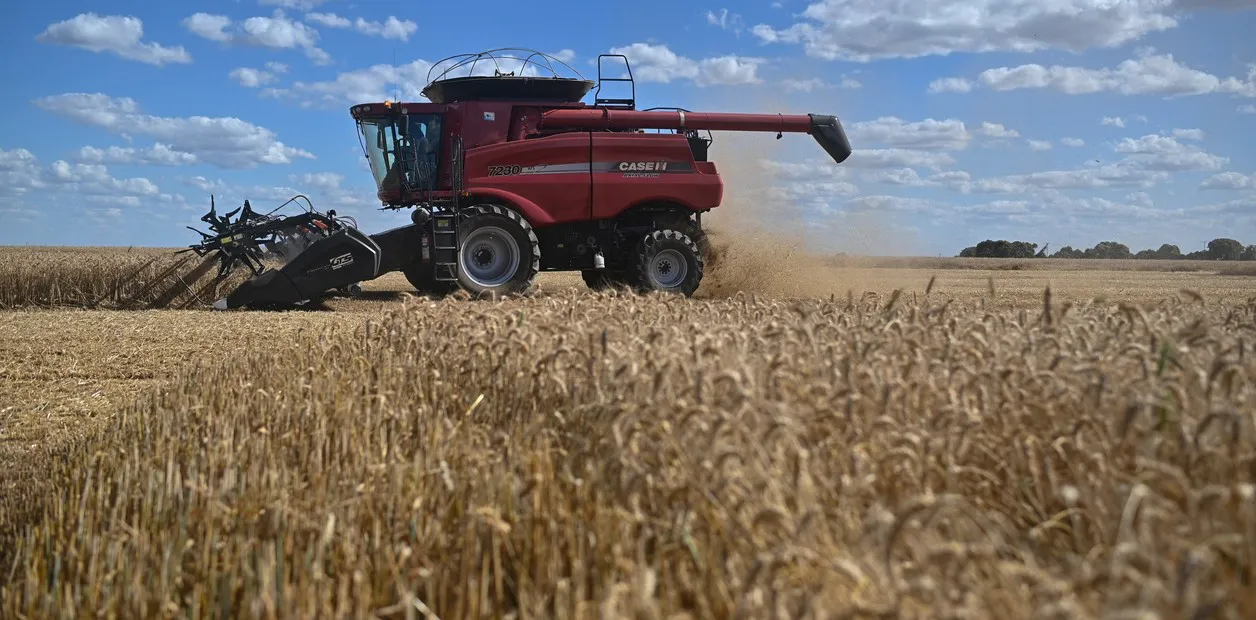 p5tlcPX_s_1256x620__1