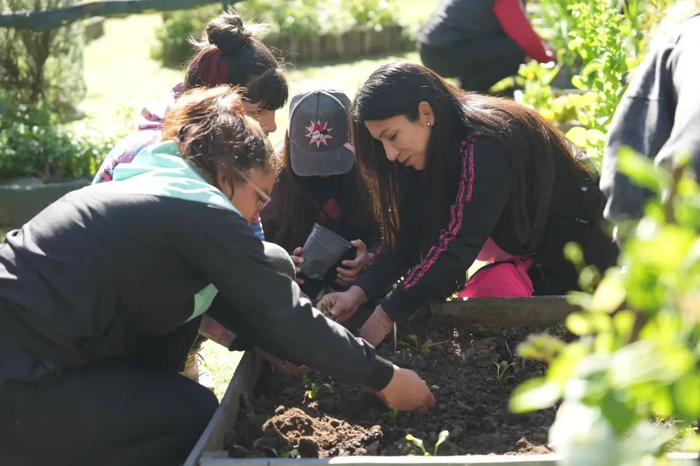 818f03e9-b8b7-4894-9041-a38eaa0cbf9f