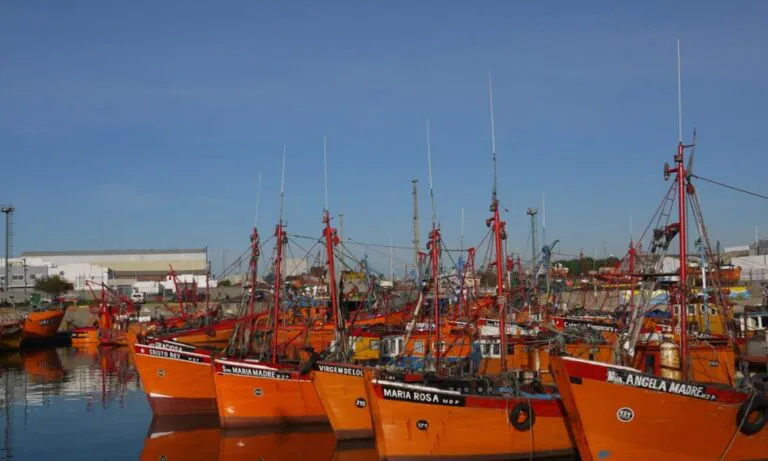 puerto-mdp-768x461