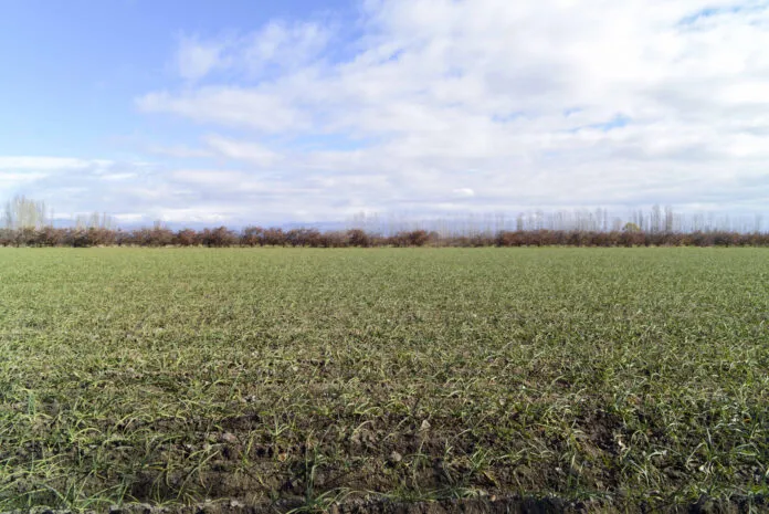 campo-sequia-696x465