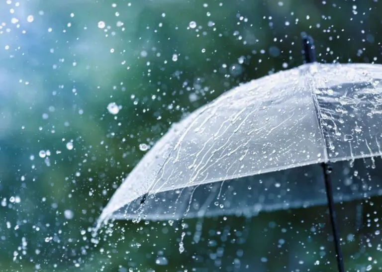 lluvias-paraguas-768x547